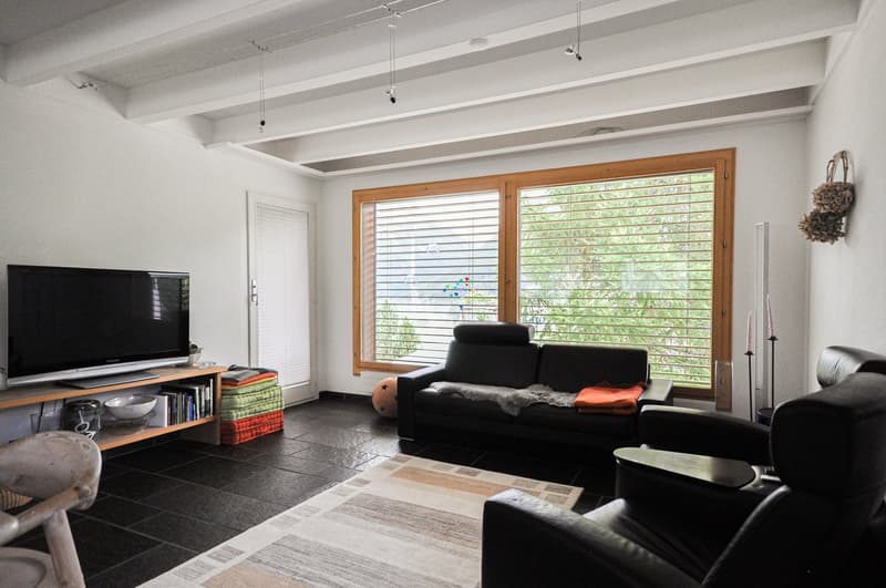 leather couch, rug, television, large window, fireplace