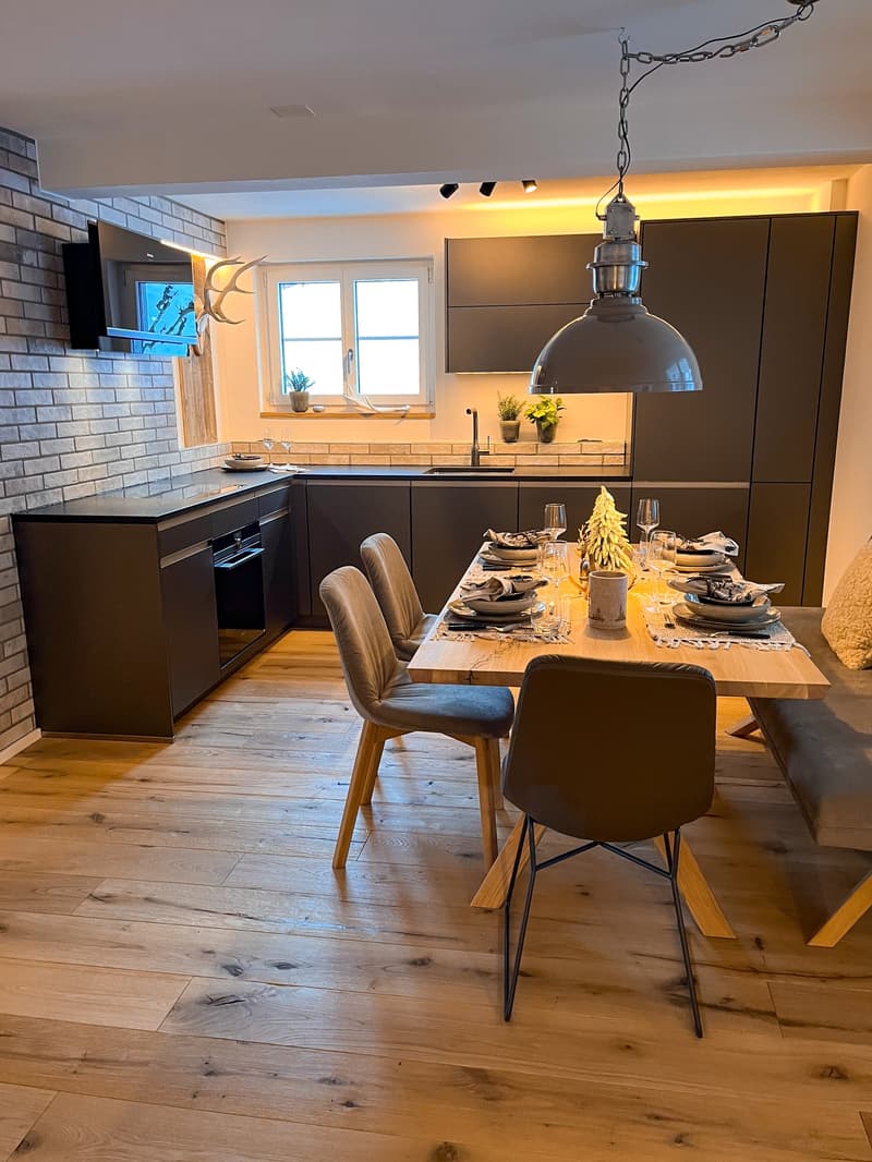 Dining area with dining table, chairs, modern interior, brick wall, TV, kitchen with oven, plants, lamps