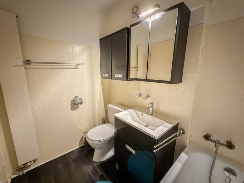 Charmante 1-Zimmer-Wohnung mit Bergpanorama in Vulpera (11)