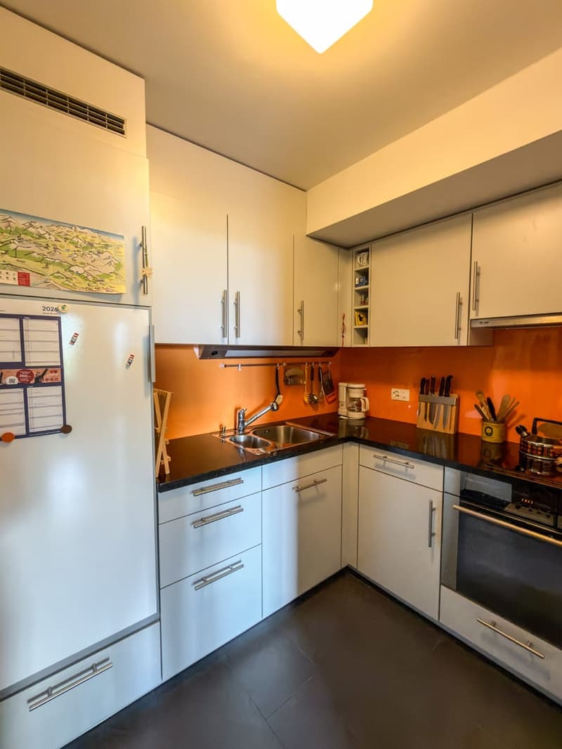 Charmante 2-Zimmer-Wohnung mit Bergpanorama in Scuol (8)