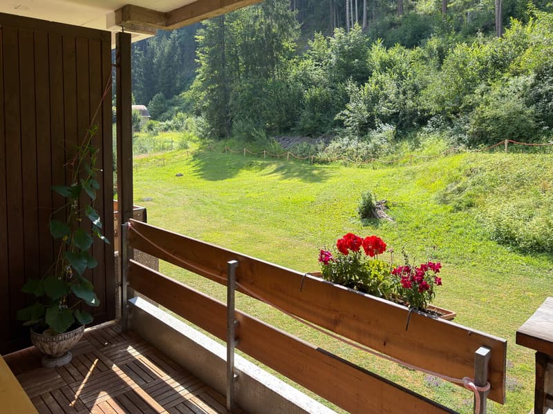 Charmante 1-Zimmer-Wohnung mit Balkon und herrlicher Aussicht in Vulpera (2)