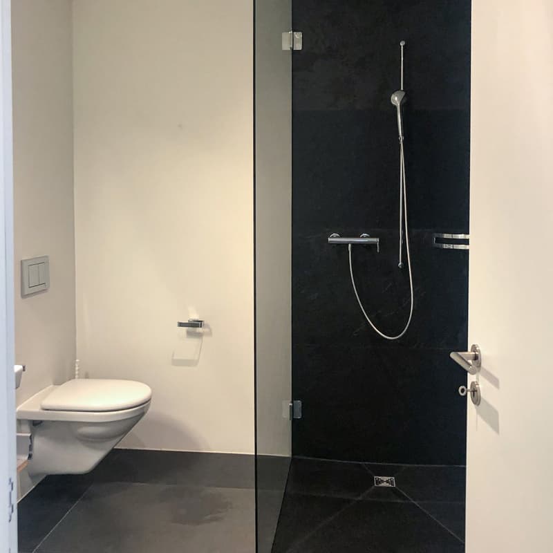4.5-Zimmer-Maisonette Erstwohnung (19)
