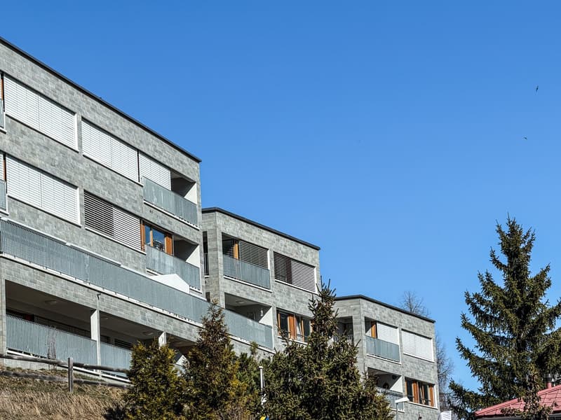 4.5-Zimmer-Maisonette Erstwohnung (23)