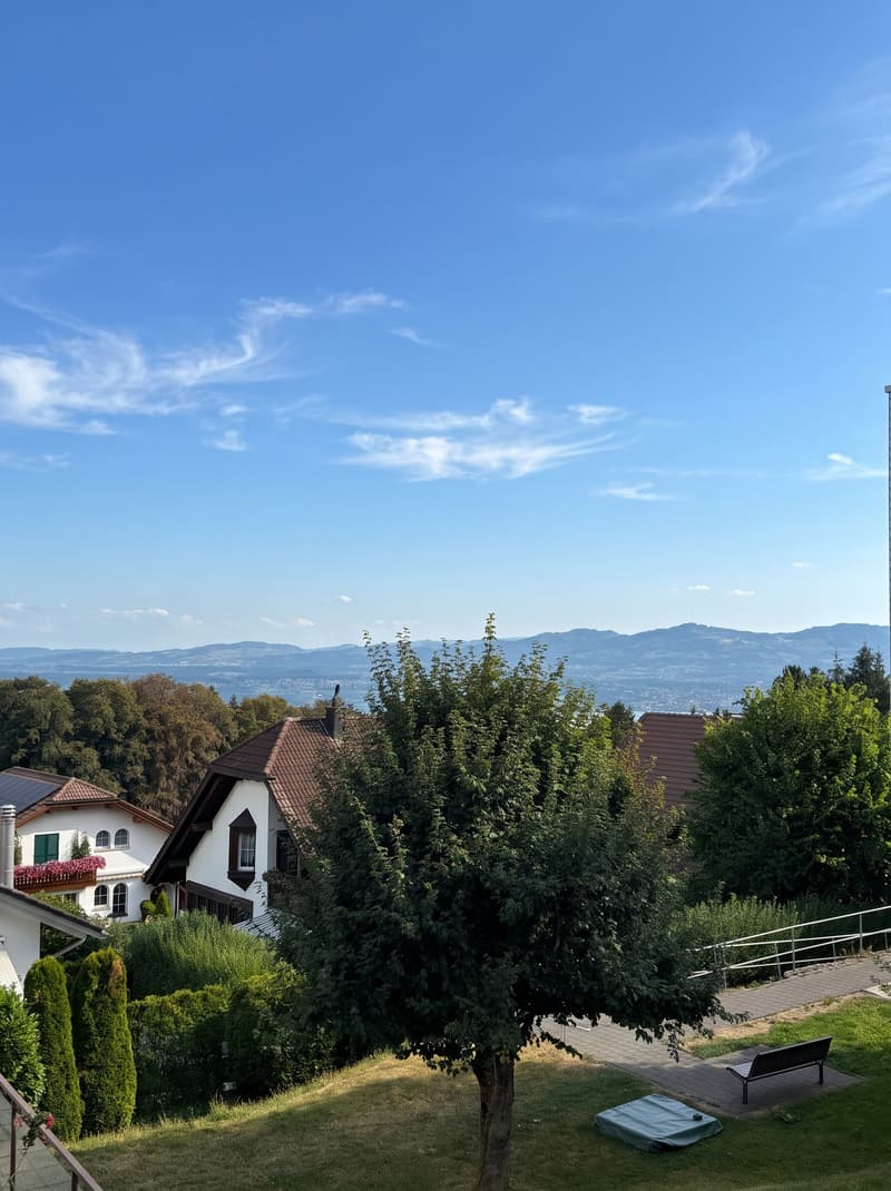 Frisch renovierte 3.5 Zimmer-Wohnung an ruhiger Lage, mit Aussicht, im steuergünstigen Feusisberg (12)