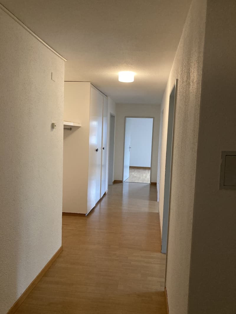 Top renovierte 5.5 Zimmer-Wohnung mit Fernsicht (2)