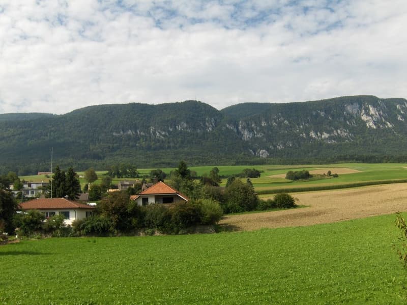 Sicht auf die Alpen (2)