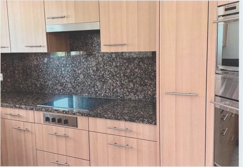 5,5 Zimmer Eigentumswohnung (6)