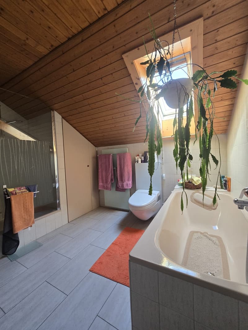 5,5 Zimmer Einfamilienhaus mit grossem Garten (7)