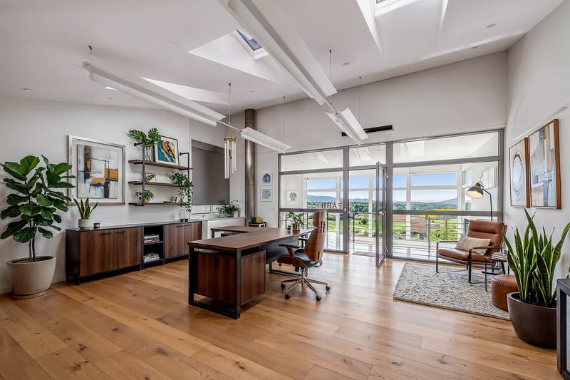 modern office with wooden desk, office chair, wooden cabinet, plants, glass door, sliding glass door, skylight, rug, lamp, picture frames
