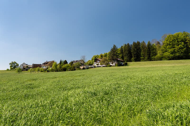 6.5‑Zimmer-Einfamilienhaus an traumhafter Aussichtslage, nähe Waldrand (11)