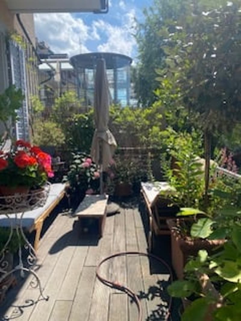 Wooden deck, several plants, flowers, bench, table, view of the sky