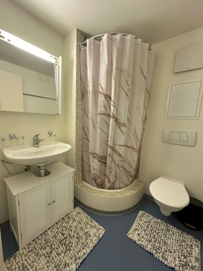 Appartement meublé 2 pièces en centre-ville de Zug (5)