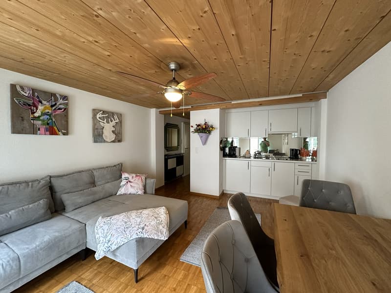 Appartement meublé 2 pièces en centre-ville de Zug (2)