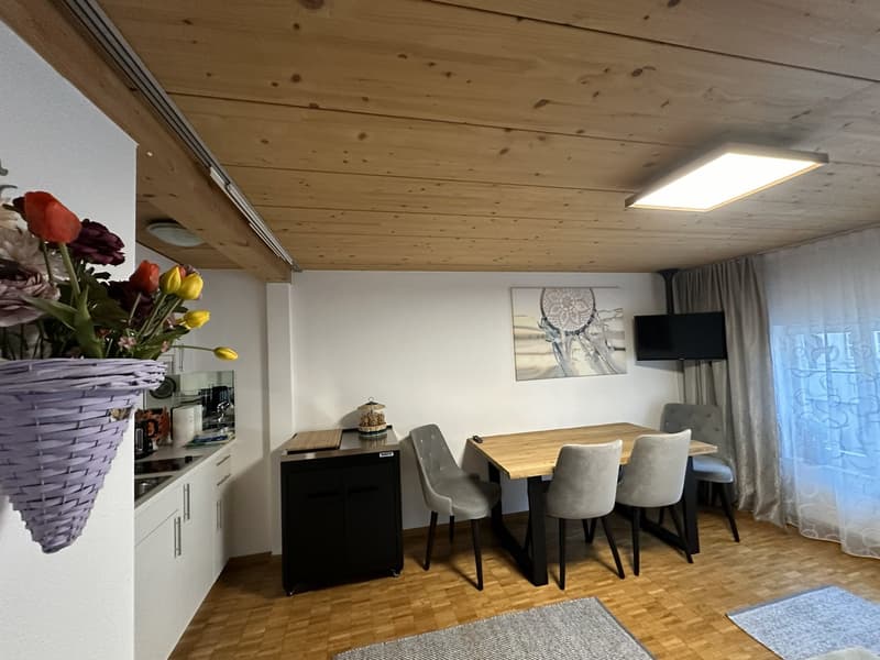 Appartement meublé 2 pièces en centre-ville de Zug (4)