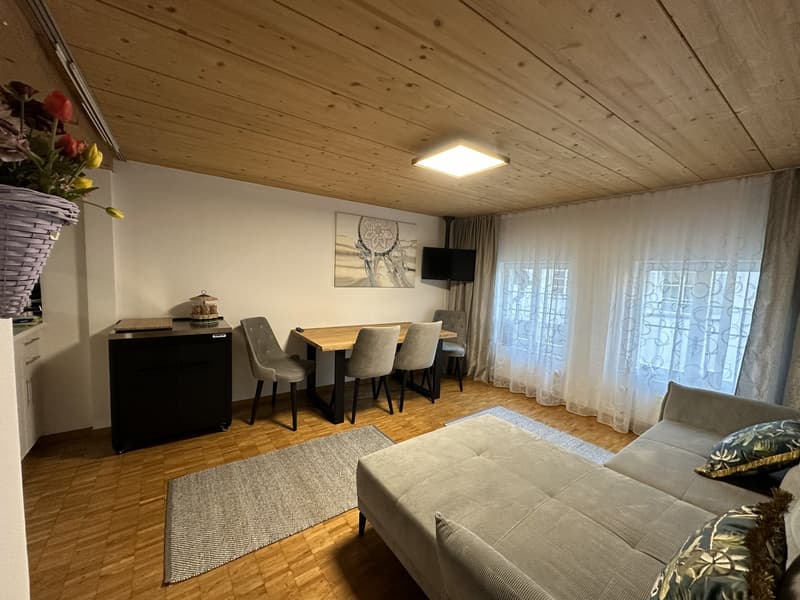 Appartement meublé 2 pièces en centre-ville de Zug (3)