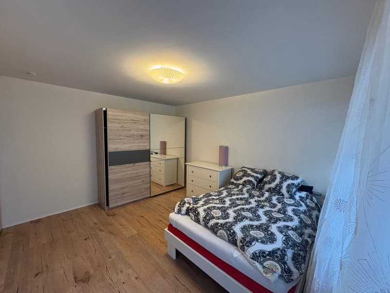 Bedroom with wooden floor, white walls, large wardrobe, mirror, bed, nightstands, and ceiling lamp