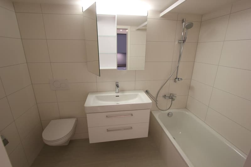 Befristete 2.5-Zimmer-Erdgeschosswohnung in Bäch SZ (2)