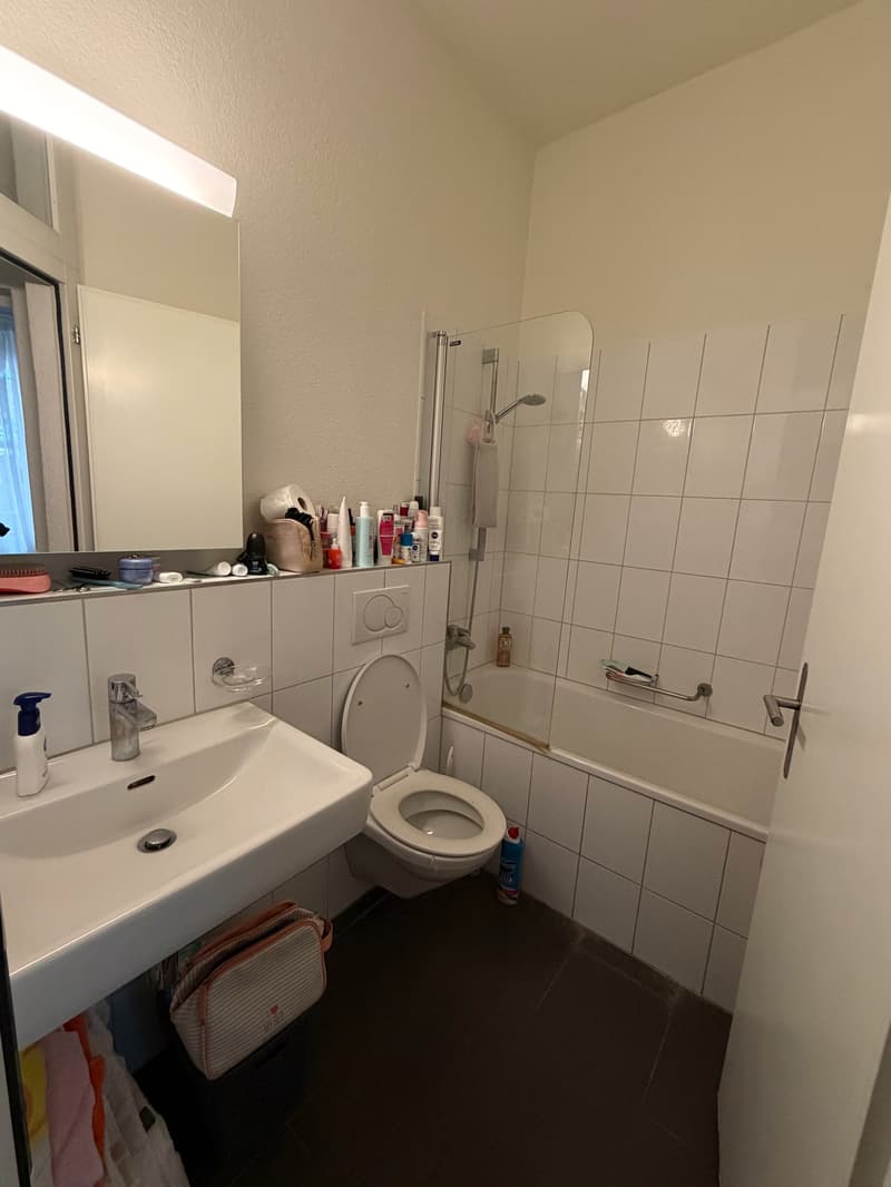 Charmante 3.5-Zimmer-Altbauwohnung an der Engelstrasse in Zürich 8004 (1)