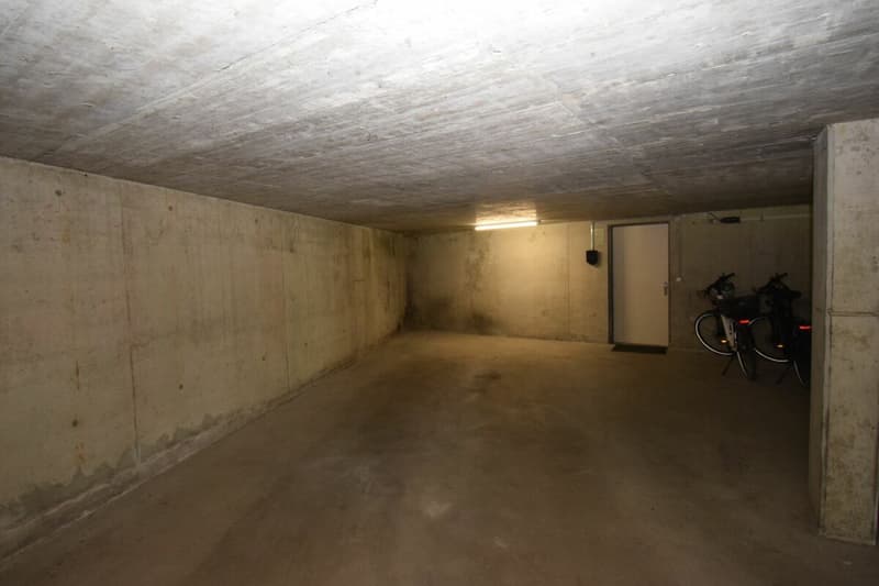 Neu Renovierte 4,5 Zimmer Maisonette-Wohnung im 2. OG mit Lift (Eigentumsstandard) (9)