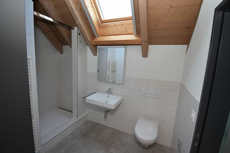 Neu Renovierte 4,5 Zimmer Maisonette-Wohnung im 2. OG mit Lift (Eigentumsstandard) (5)