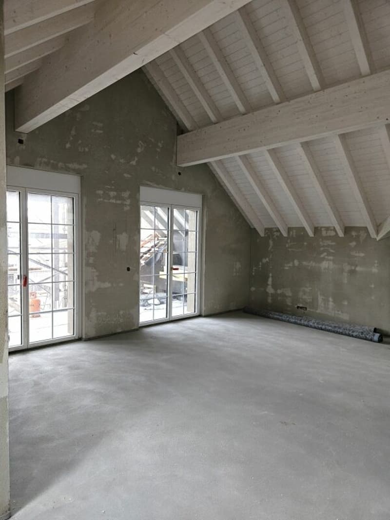 Appartamento in proprietà di 4,5 locali di nuova costruzione (mansarda con galleria, n. 8) nel rurale Liebensberg (comune di Wiesendangen) (1)