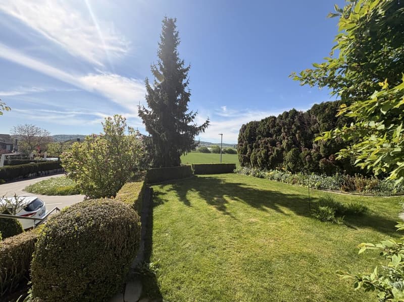 Garten mit Rasenfläche Südwest EG
