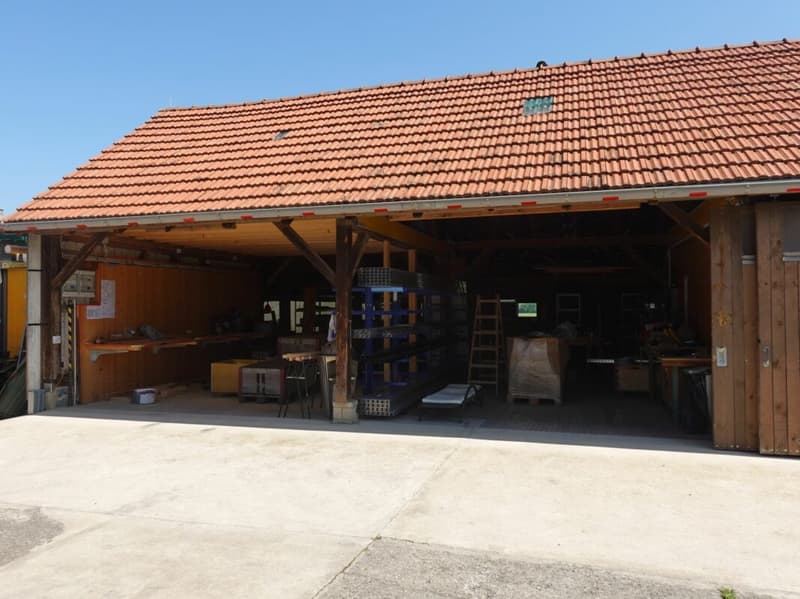 Ebenerdige, helle Gewerbe-Liegenschaft (4)