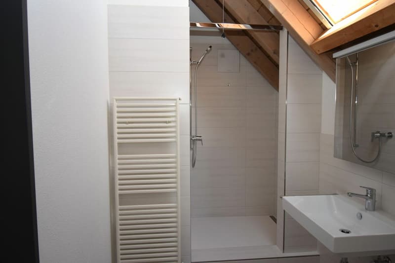 Neu Renovierte 3½-4 Zimmer Maisonette-Wohnung im 2. OG mit Lift (Eigentumsstandard) (7)