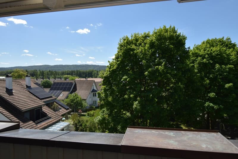 Neu Renovierte 3½-4 Zimmer Maisonette-Wohnung im 2. OG mit Lift (Eigentumsstandard) (12)