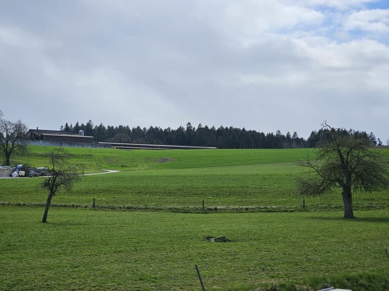 Neubau-Loftwohnung mit Aussicht, Ruhe und Komfort (7)