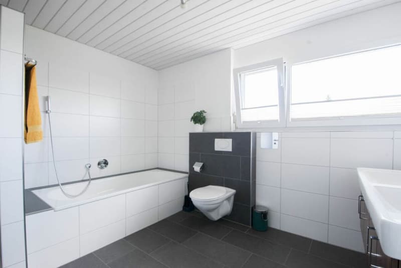 Einfamilienhaus mit XL-Garten (5)