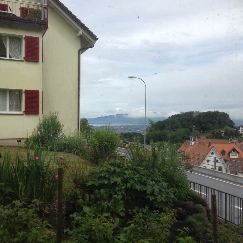 1.5-Wohnung mit Seesicht in Walzenhausen (2)