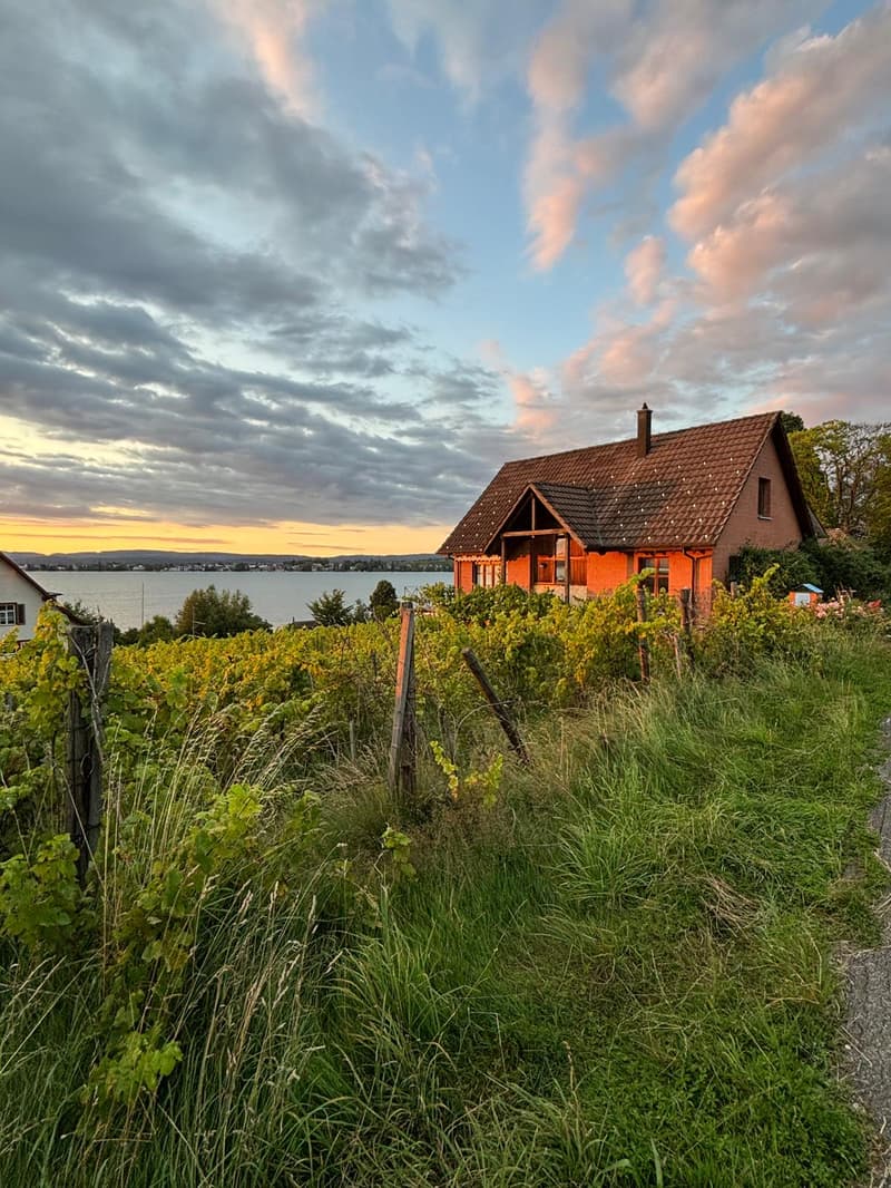 A rustic, red-roofed house surrounded by a vineyard and overlooking a lake or body of water. The sky is filled with dramatic clouds in shades of pink and gray, creating a picturesque sunset scene.