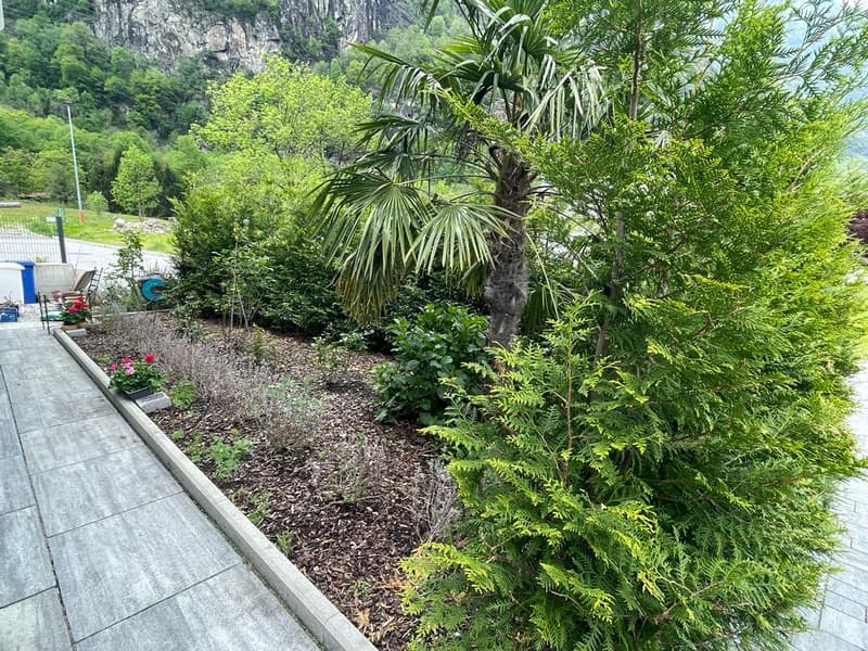 Casa Unifamiliare (13)