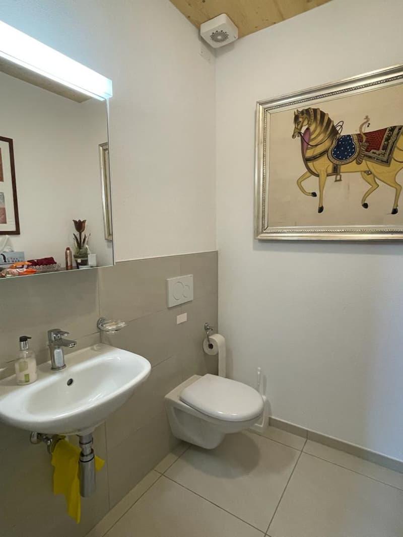 Casa Unifamiliare (22)