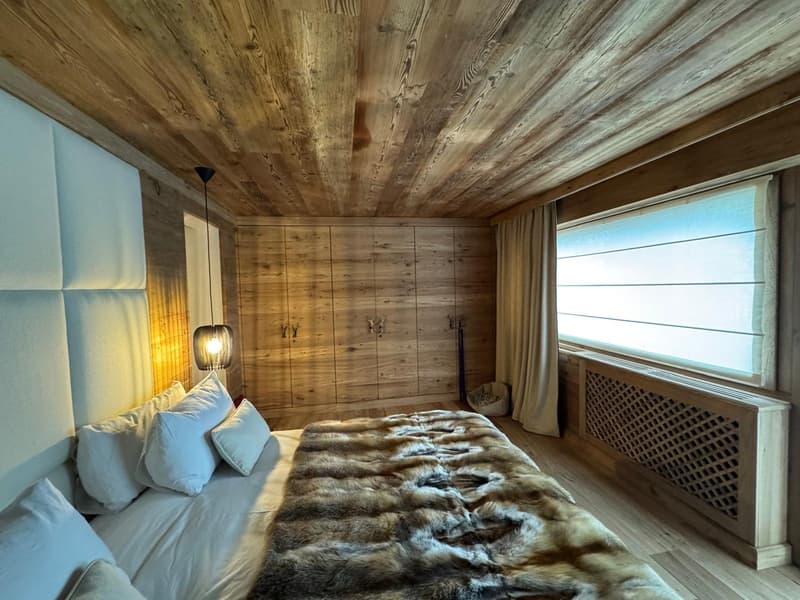 Luxury Apartment: 190 sqm large apartment with Garden, SPA, and Ski Room (3)