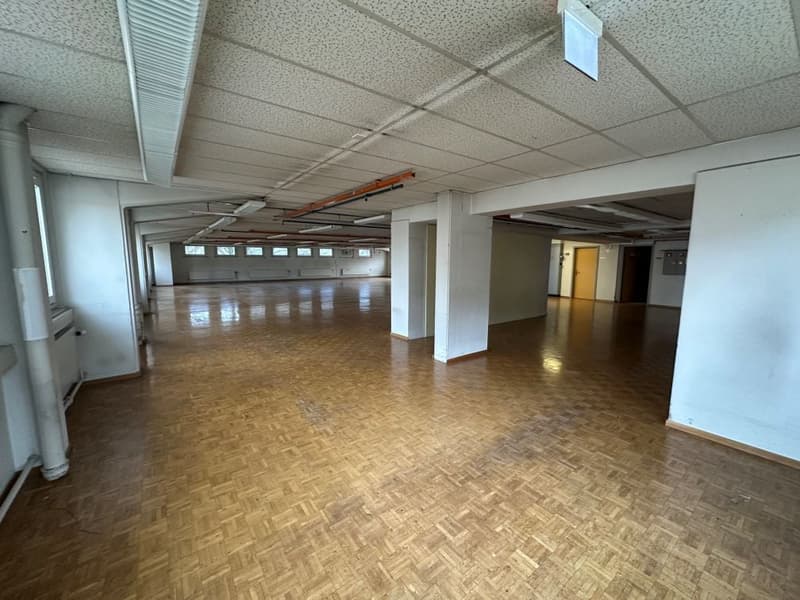Large open space, hardwood floors, high ceilings, two entrances
