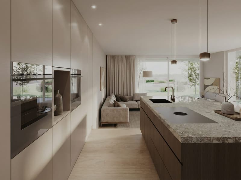 Modern kitchen with granite countertops, built-in appliances, modern open-plan design, glass walls, couch, and carpet