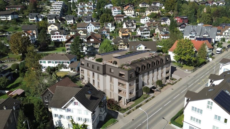 Aerial view of a residential area with multiple houses, one of which has a rooftop terrace and solar panels