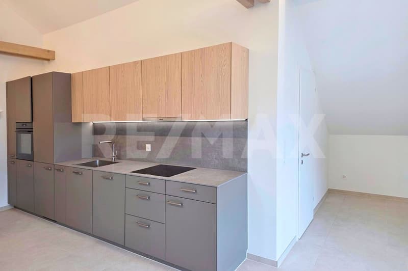 Loft- Dachgeschoss-Wohnung an zentrale Lage in Altdorf UR, Erstvermietung (7)