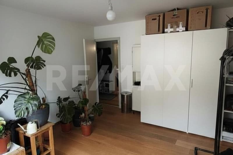 Grosse, heller 5.5-Zi. Wohnung an guter Lage, Altdorf UR (7)
