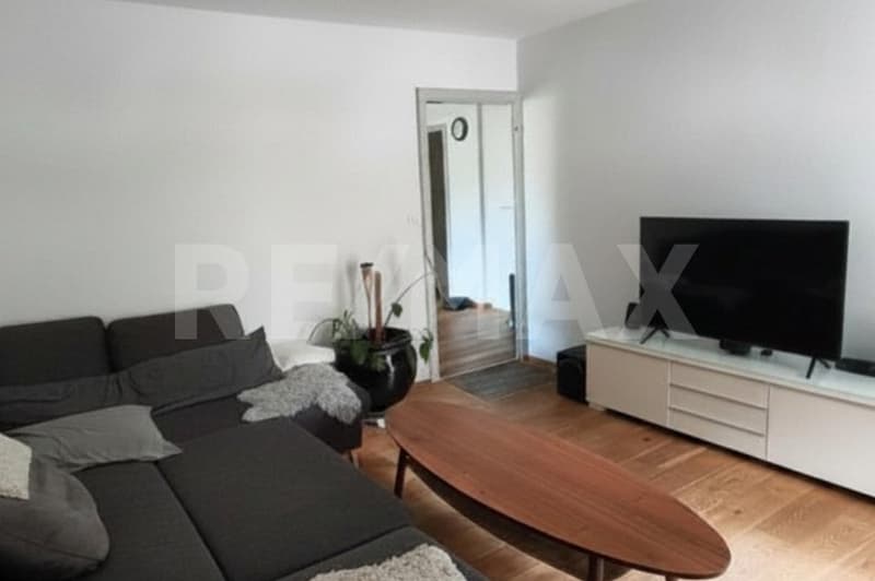 Grosse, heller 5.5-Zi. Wohnung an guter Lage, Altdorf UR (5)