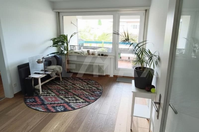 Grosse, heller 5.5-Zi. Wohnung an guter Lage, Altdorf UR (1)