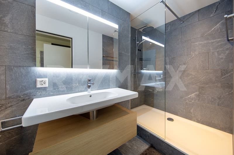 Einzigartige, lichtdurchflutete 3.5-Zi.-Wohnung mit Terrasse und Bergpanorama, 6440 Brunnen SZ (9)