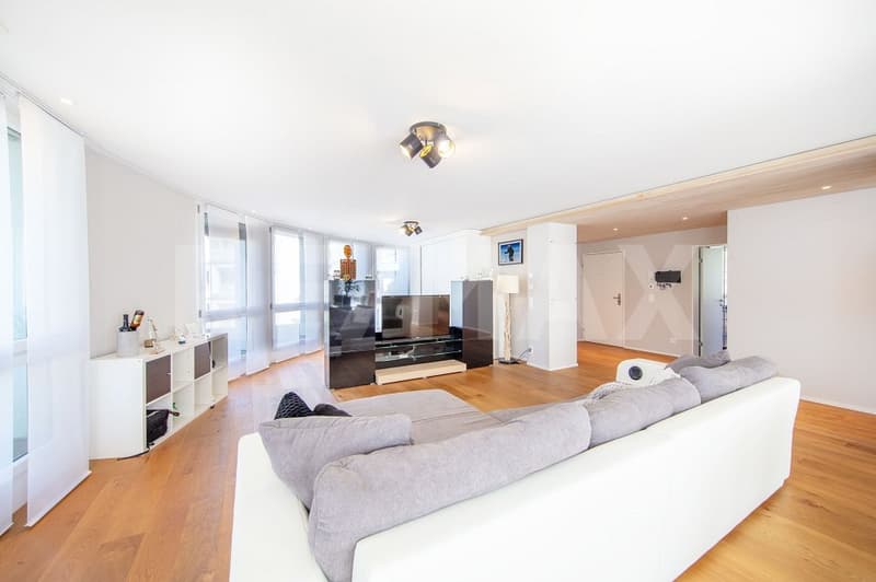 Einzigartige, lichtdurchflutete 3.5-Zi.-Wohnung mit Terrasse und Bergpanorama, 6440 Brunnen SZ (1)