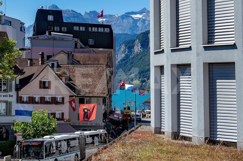 Einzigartige, lichtdurchflutete 3.5-Zi.-Wohnung mit Terrasse und Bergpanorama, 6440 Brunnen SZ (12)