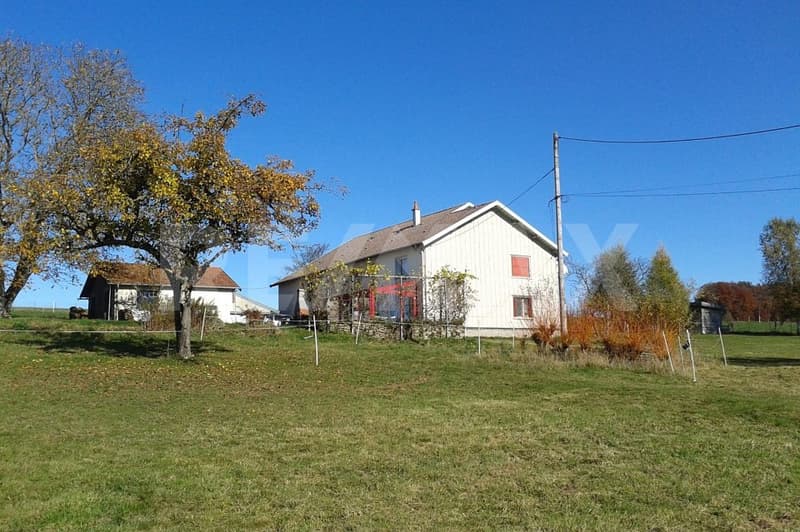 FERME, Biobauernhof, 130 km nach Basel, Lebensqualität in Perfektion, F-88370 Bellefontaine (11)