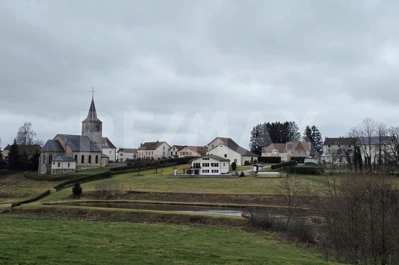 FERME, Biobauernhof, 130 km nach Basel, Lebensqualität in Perfektion, F-88370 Bellefontaine (13)