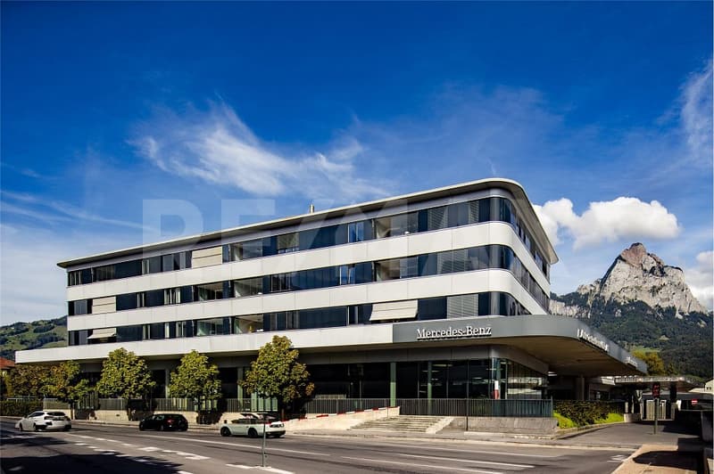 Stilvoll wohnen mit Mythenblick  moderne 4.5-Zimmer-Eigentumswohnung in Ibach SZ (12)