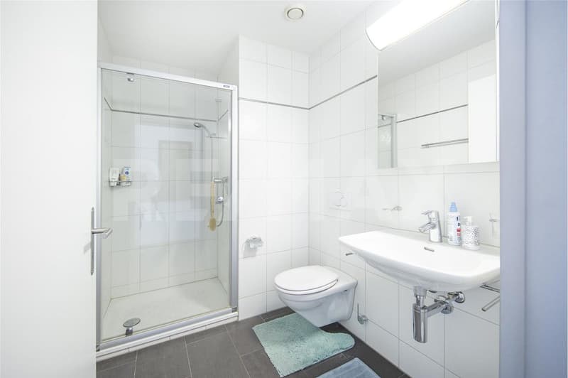 Stilvoll wohnen mit Mythenblick  moderne 4.5-Zimmer-Eigentumswohnung in Ibach SZ (10)